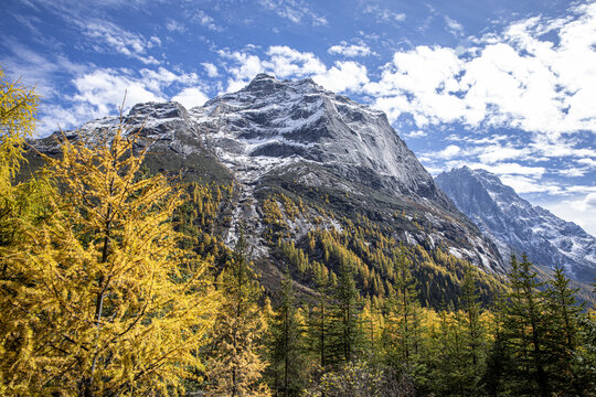 秋天的四姑娘山景区