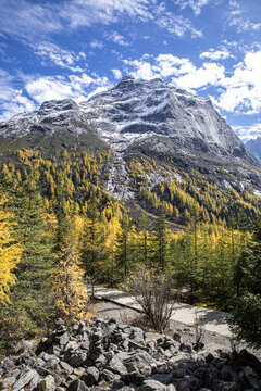 双桥沟雪山四姑娘山旅游