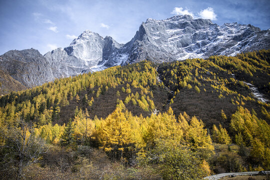 双桥沟雪山四姑娘山旅游