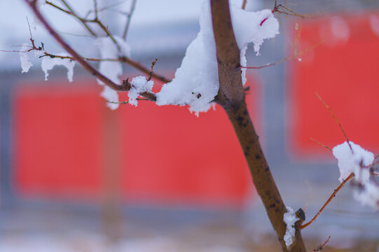 红墙映白雪