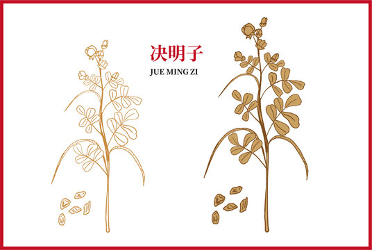 決明子