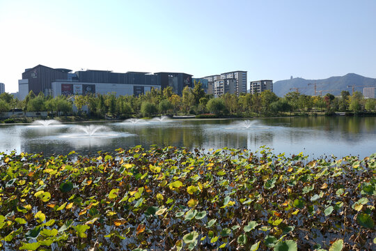 杭州桃花湖公园