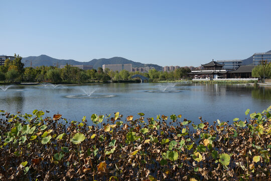 杭州桃花湖公园