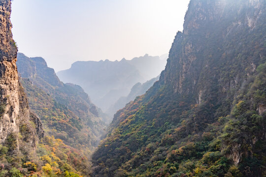 秋季登山赏红叶看满山红叶美景