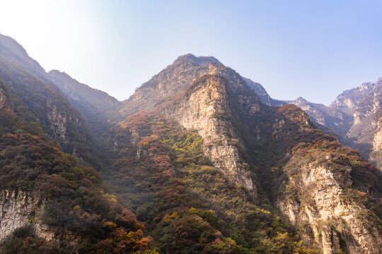 秋季登山赏红叶看满山红叶美景