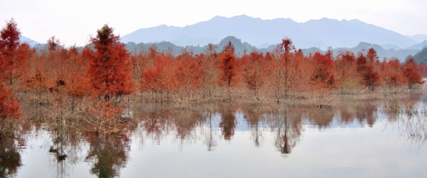 江南川藏线