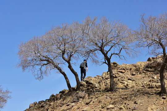 登山