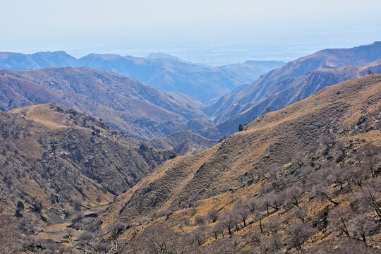 山洼