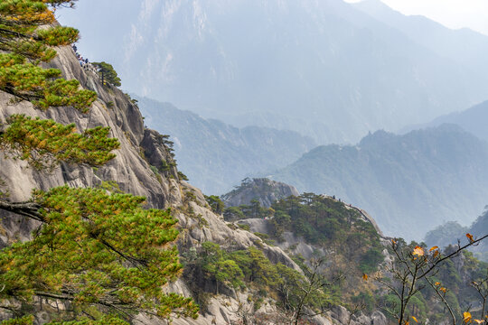 黄山风光