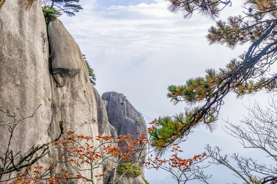 黄山风光