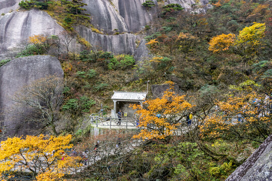 黄山风光