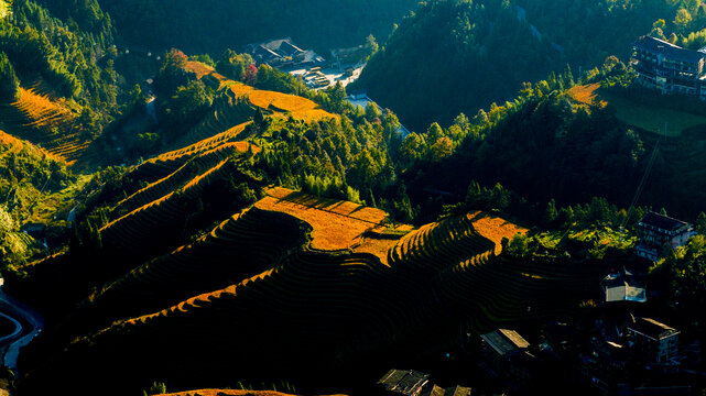 梯田旅游