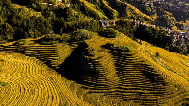 龙脊梯田