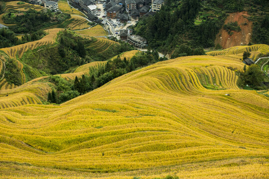 高清梯田照片