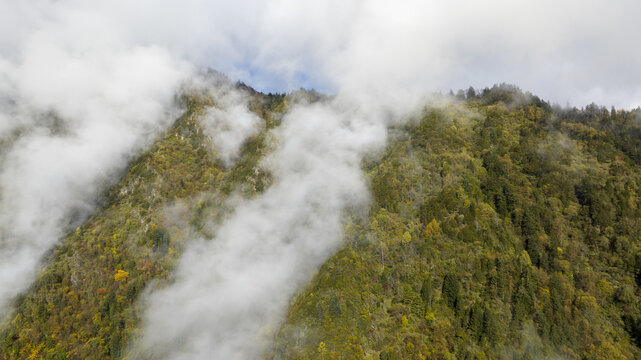 云雾绕山间