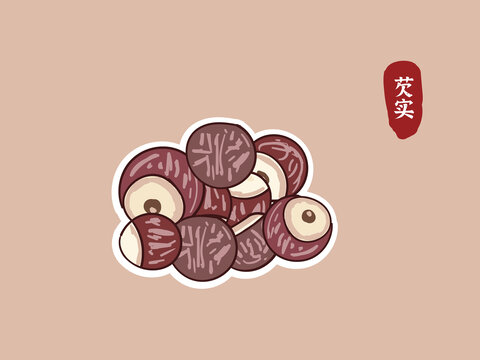 手繪芡實(shí)