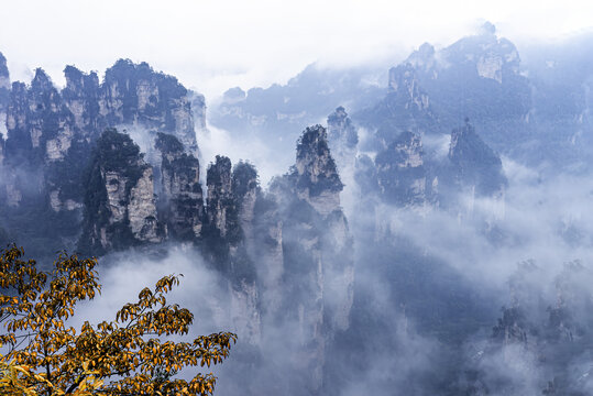 秋天雨中的张家界风光