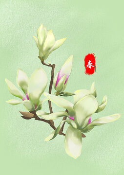玉蘭花