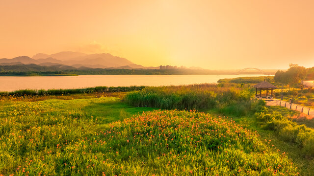 芳兰湖湿地公园