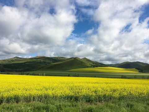 阿尔山田园风光