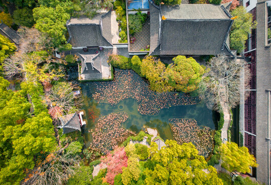 上海市青浦区曲水园风光