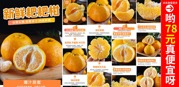 粑粑柑詳情頁(yè)