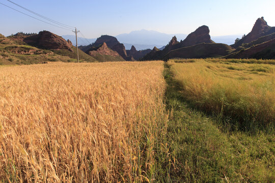 尖扎县坎布拉景区