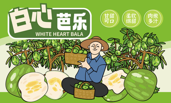 白心番石榴插畫包裝