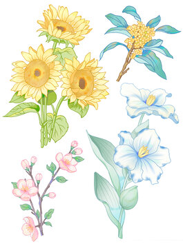 花束組合