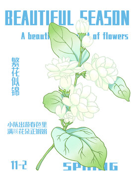 茉莉花海报