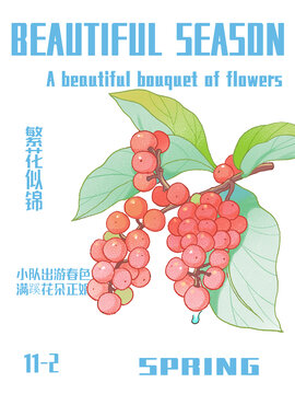 五味子海報(bào)