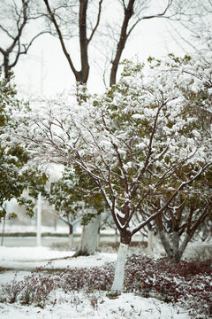 乡村积雪