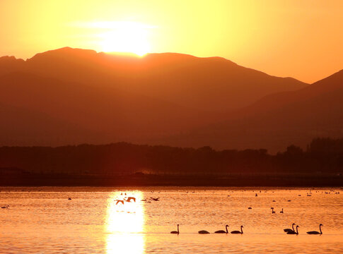 天鹅湖夕照