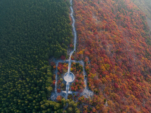 济南蝎子山秋色