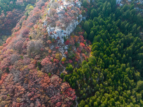 济南蚰蜒山秋色