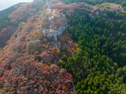 济南蚰蜒山秋色