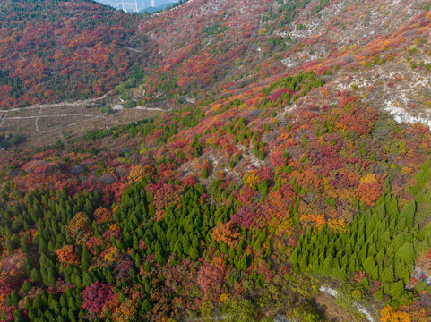 济南蚰蜒山秋色