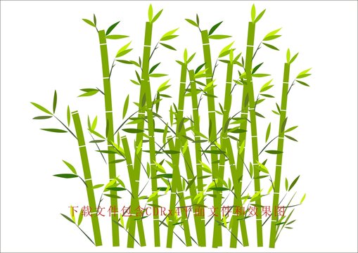 矢量竹子植物樹葉綠色竹林