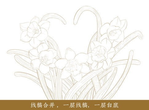 手绘水仙花线稿线描