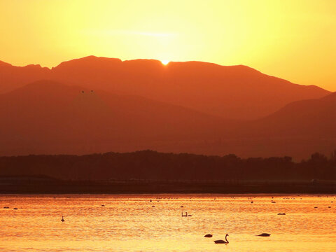 天鹅湖夕照