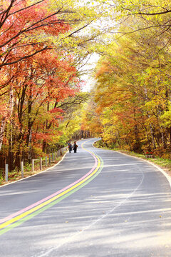 山林公路