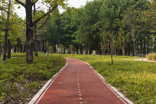 城市林间散步道