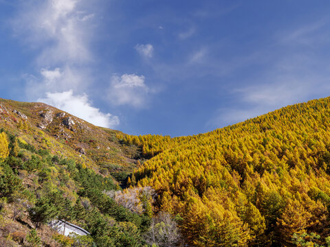 呼和浩特大青山秋色