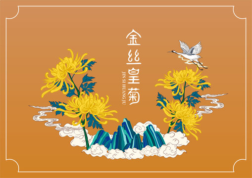 金丝皇菊包装插画