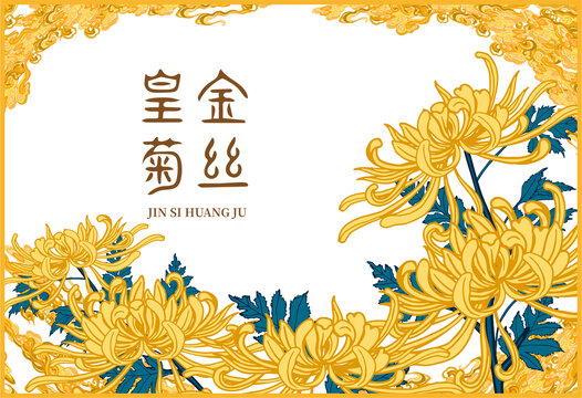 金絲皇菊