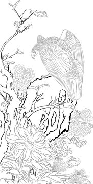工筆花鳥鷹線稿