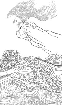 雄鷹海水線稿