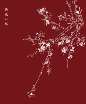 梅花白描