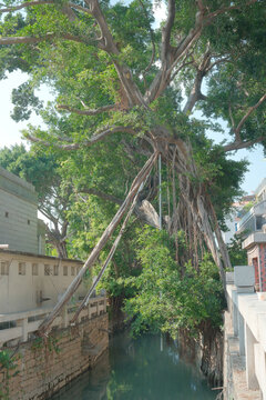 泉州小巷小河