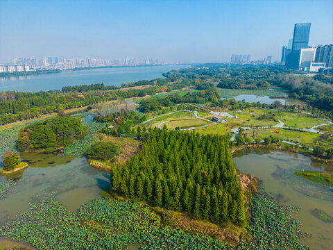 艾溪湖森林湿地公园